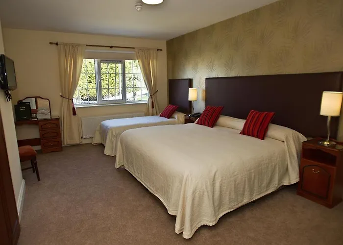 Guest house Robeen House Killarney